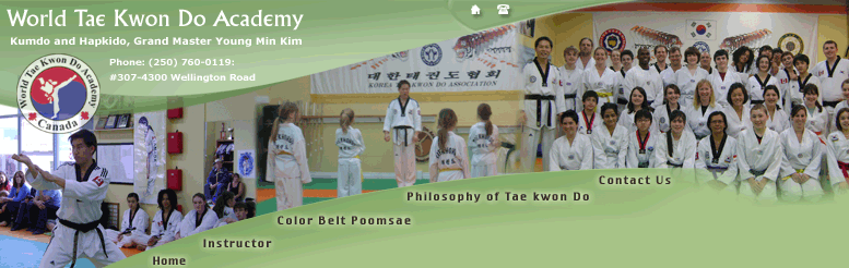 Martial Arts Nanaimo, Taekwondo
