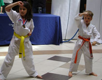 nanaimo Martial Arts